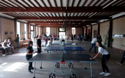 Tennis de table
